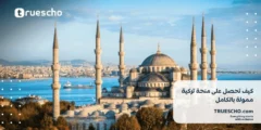 أفضل المنح الدراسية 2025: كيف تحصل على منحة تركية ممولة بالكامل