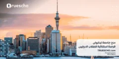 منح جامعة لينكولن 2025: فرصة استثنائية للطلاب الدوليين