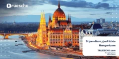منحة المجر Stipendium Hungaricum: فرصتك للدراسة مجاناً 2025/2026