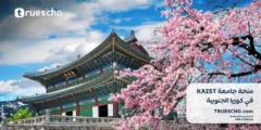 منحة جامعة KAIST : فرص دراسية ممولة بالكامل في كوريا الجنوبية 2025