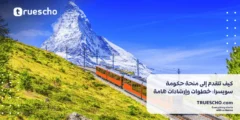 كيف تتقدم إلى منحة حكومة سويسرا 2025: خطوات وإرشادات هامة