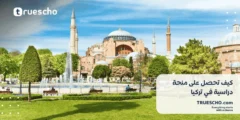 كيف تحصل على منحة دراسية في تركيا : خطوات ونصائح مفيدة