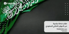 منحة دراسية من الديوان الملكي السعودي 2025