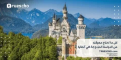 كل ما تحتاج معرفته عن الدراسة المزدوجة في ألمانيا 2025