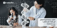 تكاليف دراسة تنمية الطفل في تركيا 2025