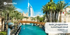 منحة الدكتوراه في جامعة الإمارات العربية المتحدة للعام 2024-2025