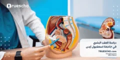دراسة الطب البشري في جامعة آيدن