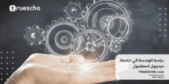 دراسة الهندسة في جامعة ميديبول اسطنبول 2025