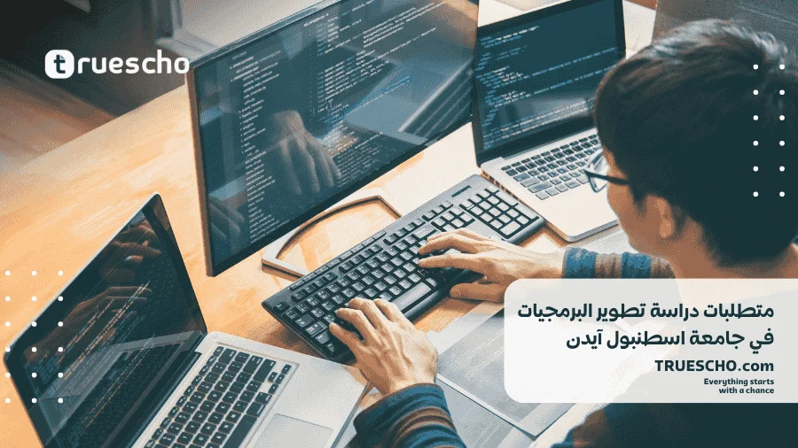 دراسة تطوير البرمجيات في جامعة آيدن 