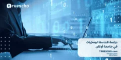 دراسة هندسة البرمجيات في جامعة أوكان 2025
