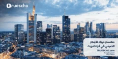 معسكر ميرك للابتكار الصيفي في فرانكفورت 2025
