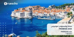 منحة إيراسموس موندوس PROMISE 2025: فرصة ممولة بالكامل