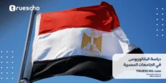 دراسة البكالوريوس في الجامعات المصرية 2025