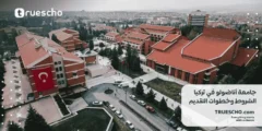 جامعة أناضولو