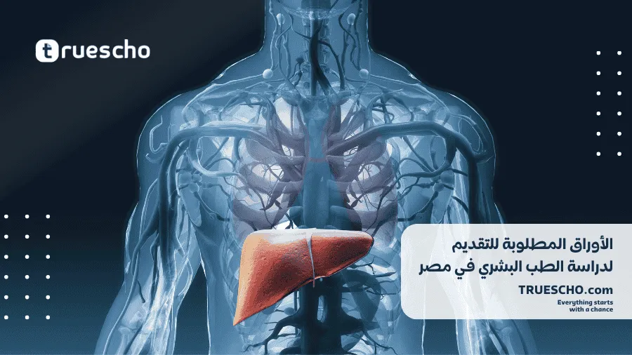 دراسة الطب البشري في مصر