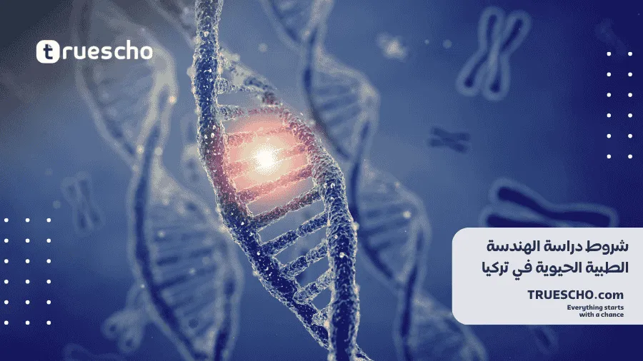 دراسة الهندسة الطبية الحيوية 