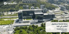 منحة جامعة اسطنبول أطلس 2025