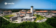 ما هي أفضل التخصصات في جامعات إسطنبول؟