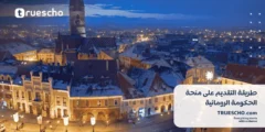 طريقة التقديم على منحة الحكومة الرومانية: دليل شامل خطوة بخطوة
