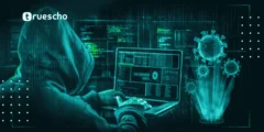 ما إجراءات حماية بلوهوست من الهجمات الإلكترونية مثل DDoS؟