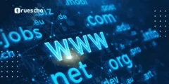 كيف يمكن ربط دومين مسجل من شركة أخرى ببلوهوست؟