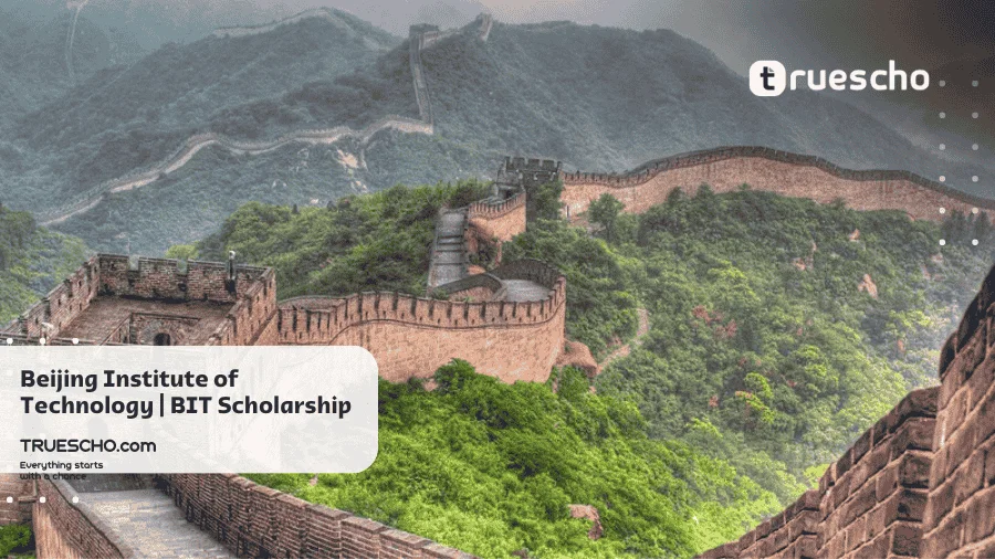 BIT Scholarship