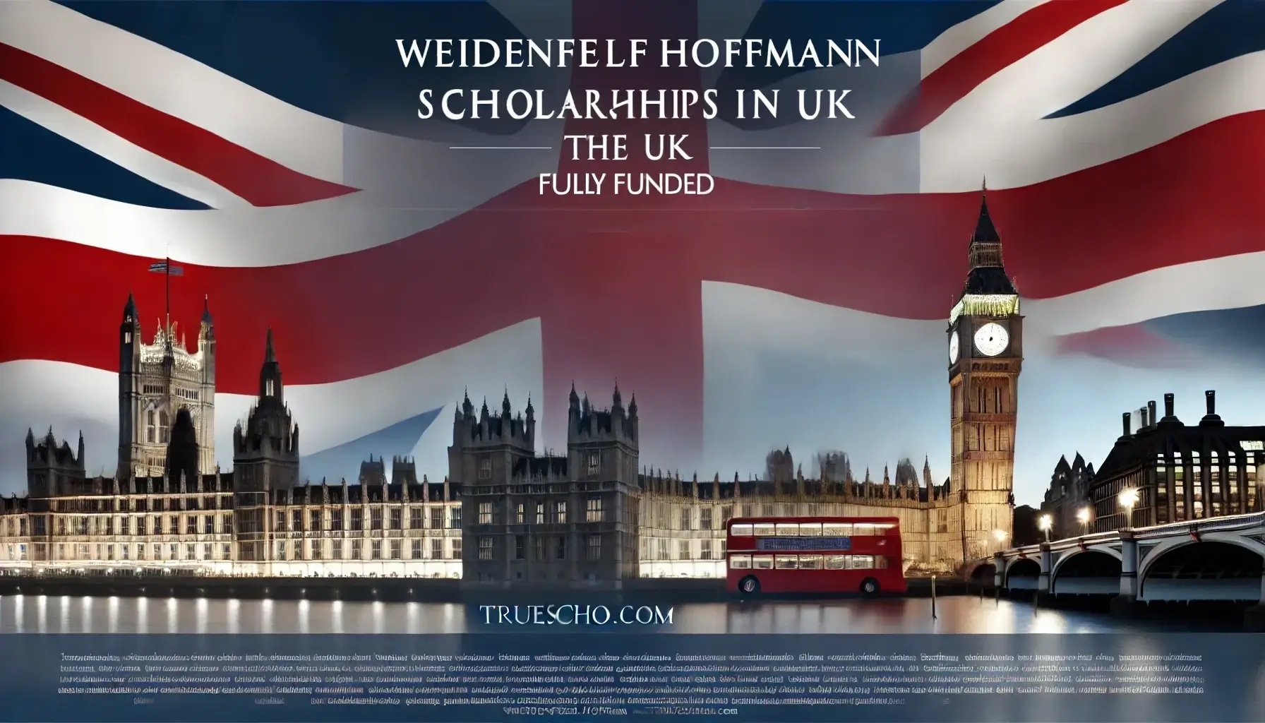 Weidenfeld-Hoffmann Scholarships