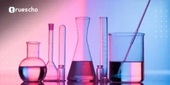جامعة هانزه للعلوم التطبيقية: دليلك الشامل للدراسة في هولندا 2025