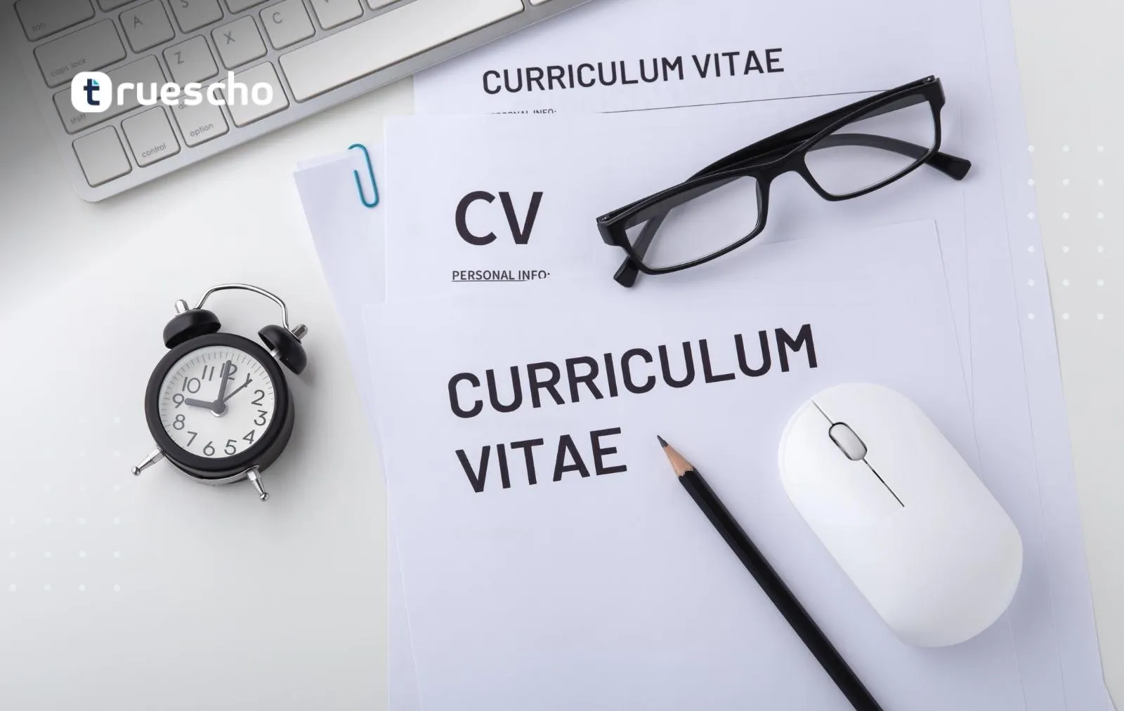 السيرة الذاتية cv