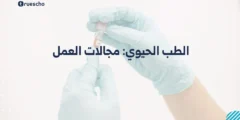 الطب الحيوي: مجالات العمل 2025: الفرص والتحديات في مستقبل الهندسة الطبية الحيوية