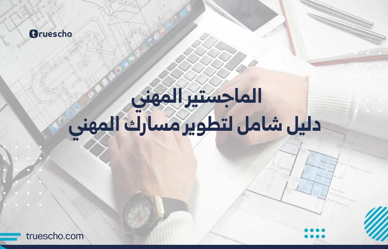الماجستير المهني
