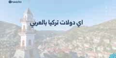 اي دولات تركيا بالعربي: الدليل 2025