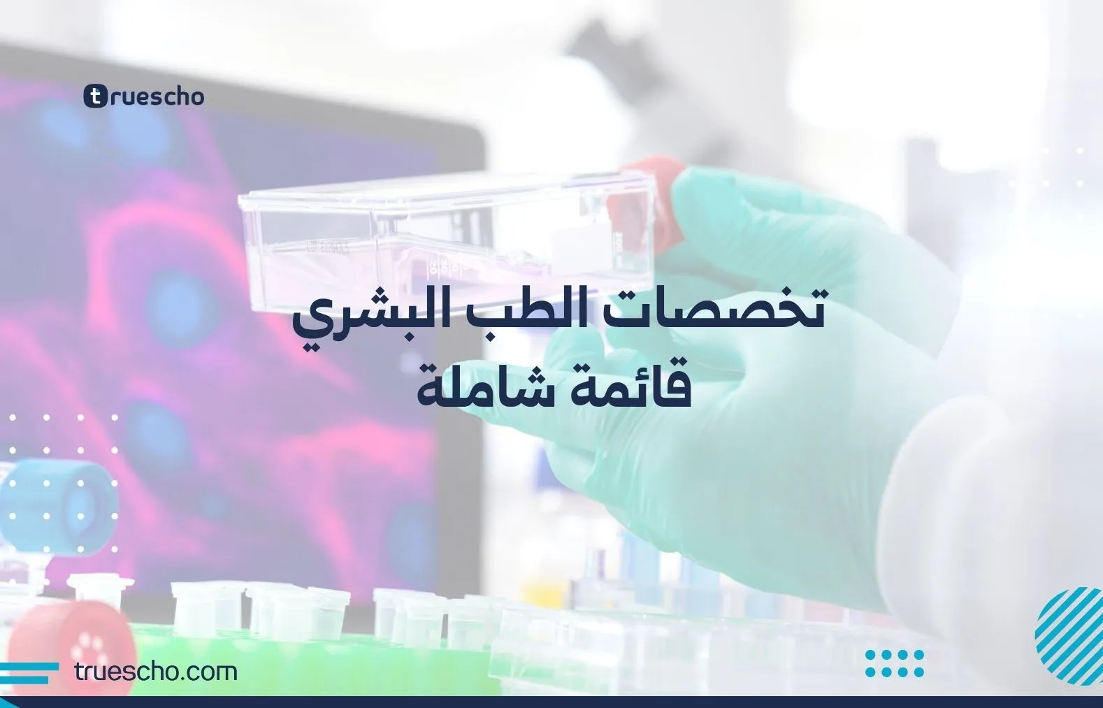 تخصصات الطب البشري