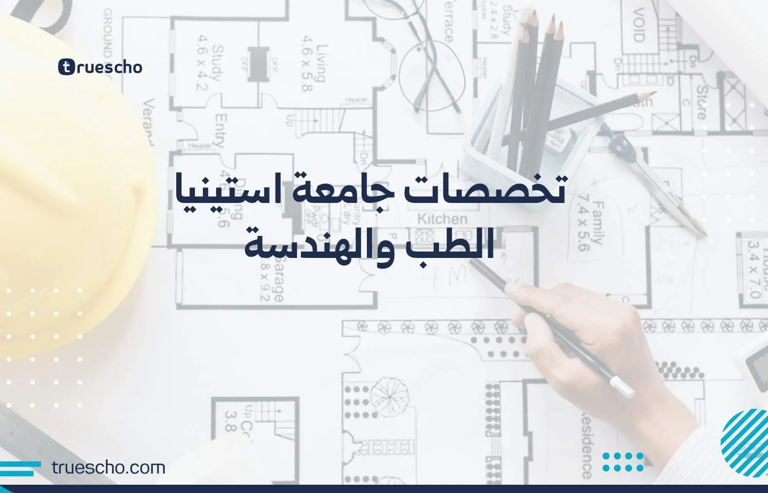 تخصصات جامعة استينيا