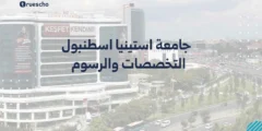 جامعة استينيا اسطنبول: التخصصات والرسوم