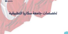 تخصصات جامعة سكاريا التطبيقية | البرامج 2025