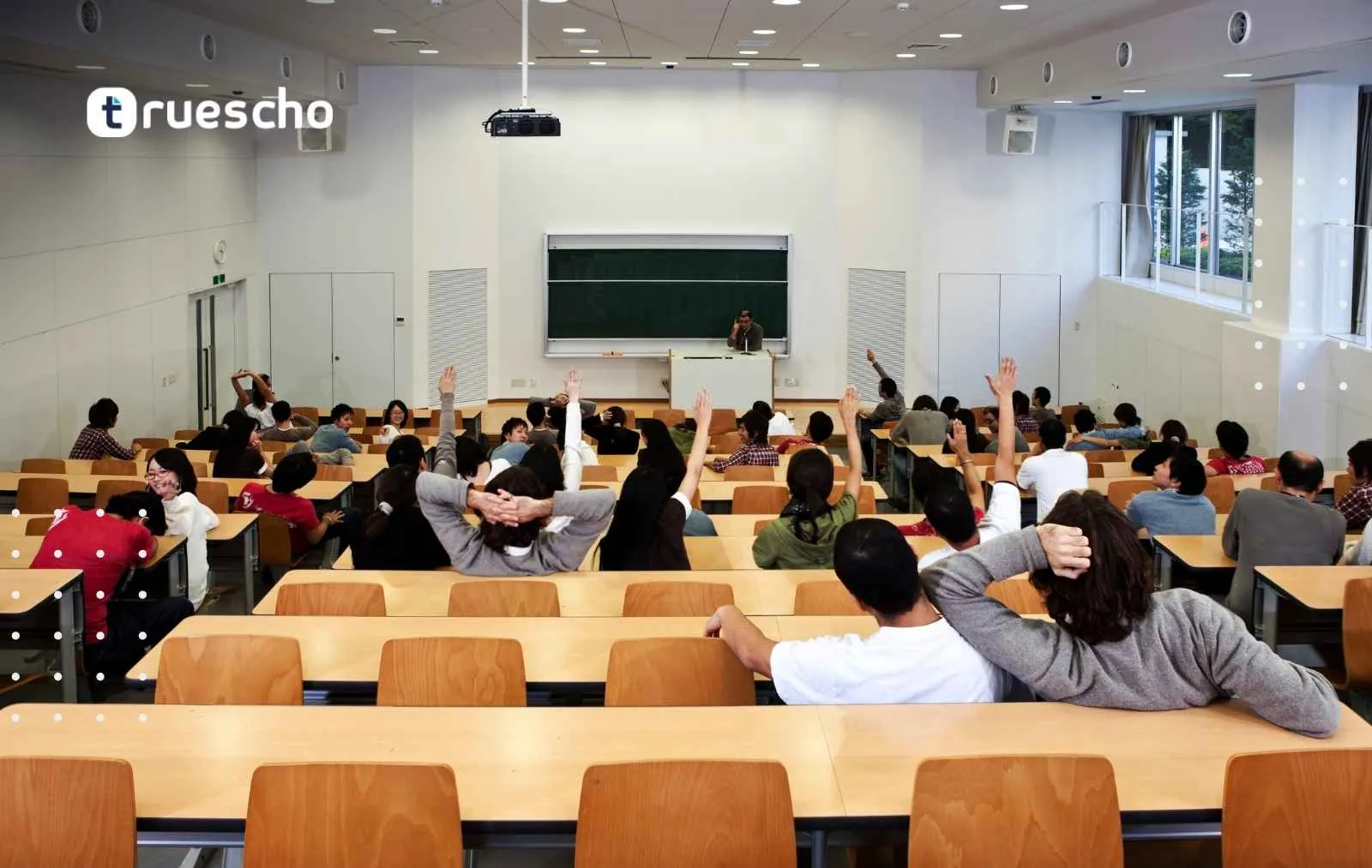 جامعات مصر الحكومية 
