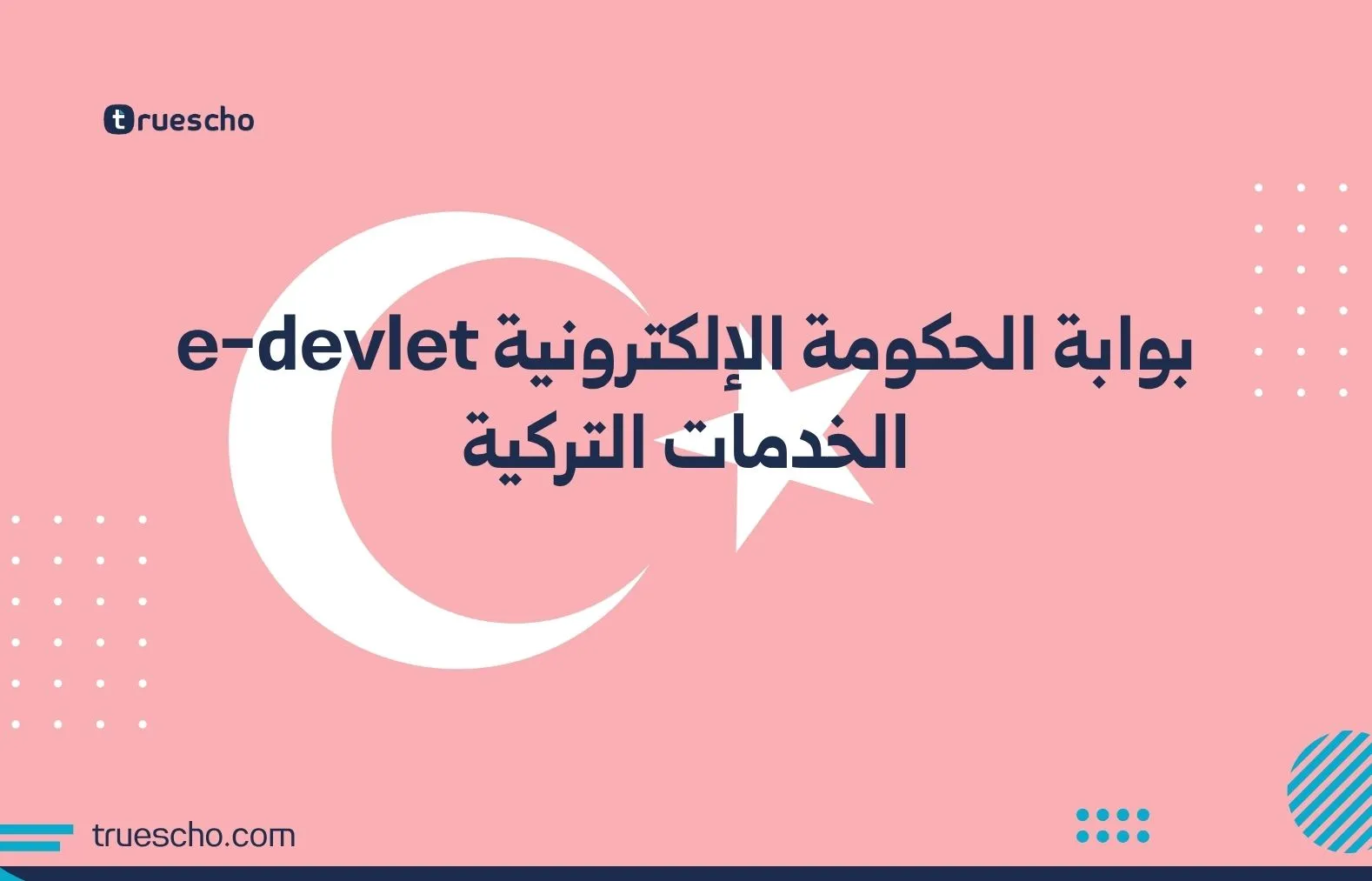 بوابة الحكومة الإلكترونية e-devlet