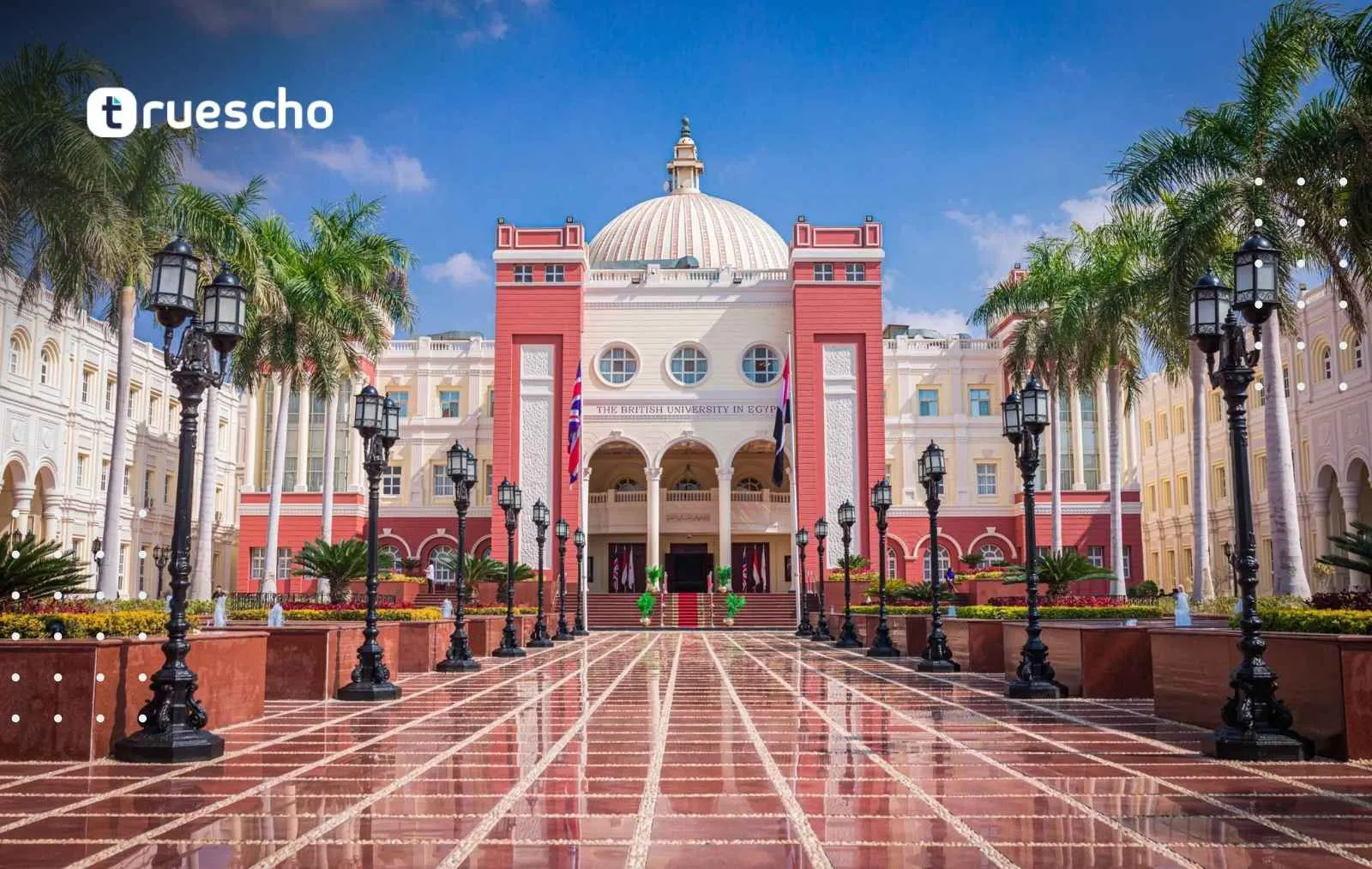 الجامعة البريطانية في مصر