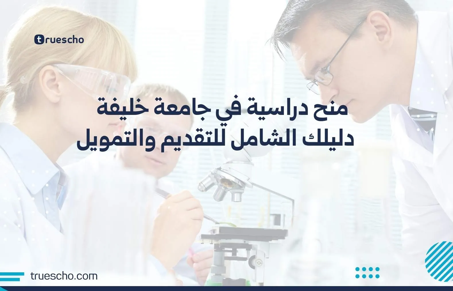 منح دراسية في جامعة خليفة