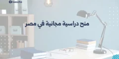 منح دراسية مجانية في مصر: دليل 2025